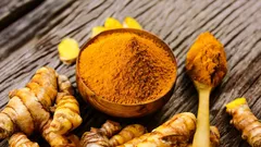 Gewöhnliches Gewürz mit Wirkung auf die Gelenke: Was die Wissenschaft über Kurkuma sagt